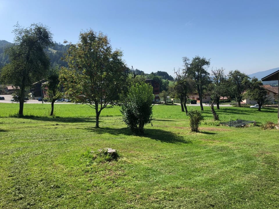 Garden, On site, Garden view