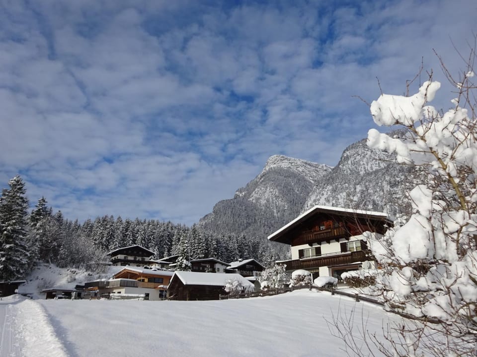 Property building, Winter