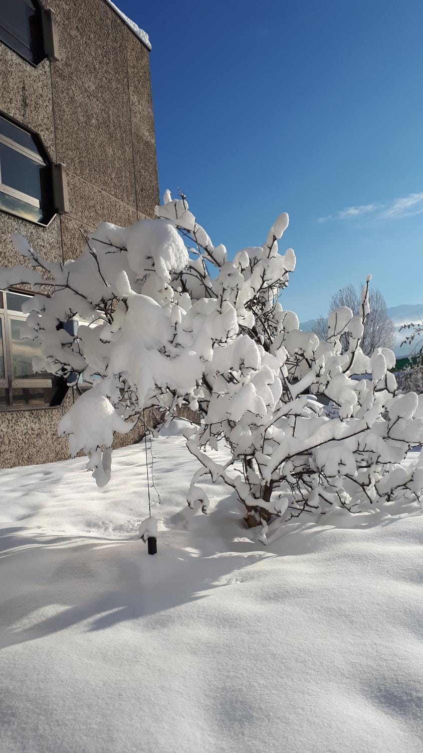 Property building, Winter