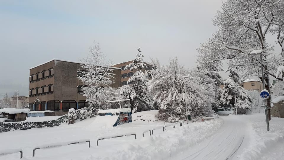 Winter