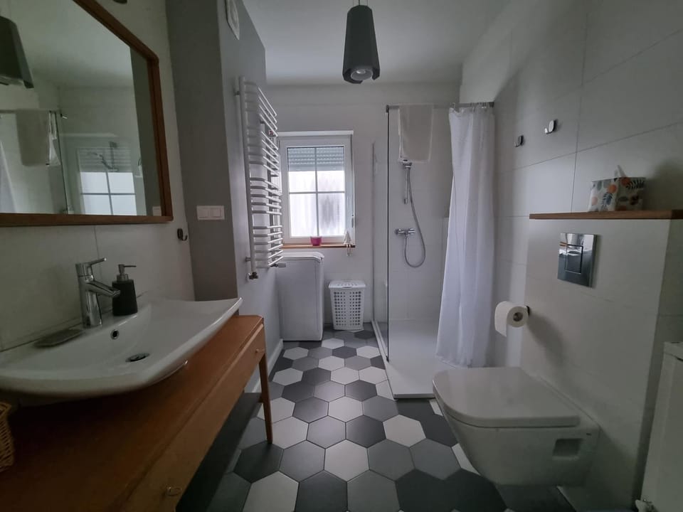 Shower, Toilet, Bathroom, washing machine