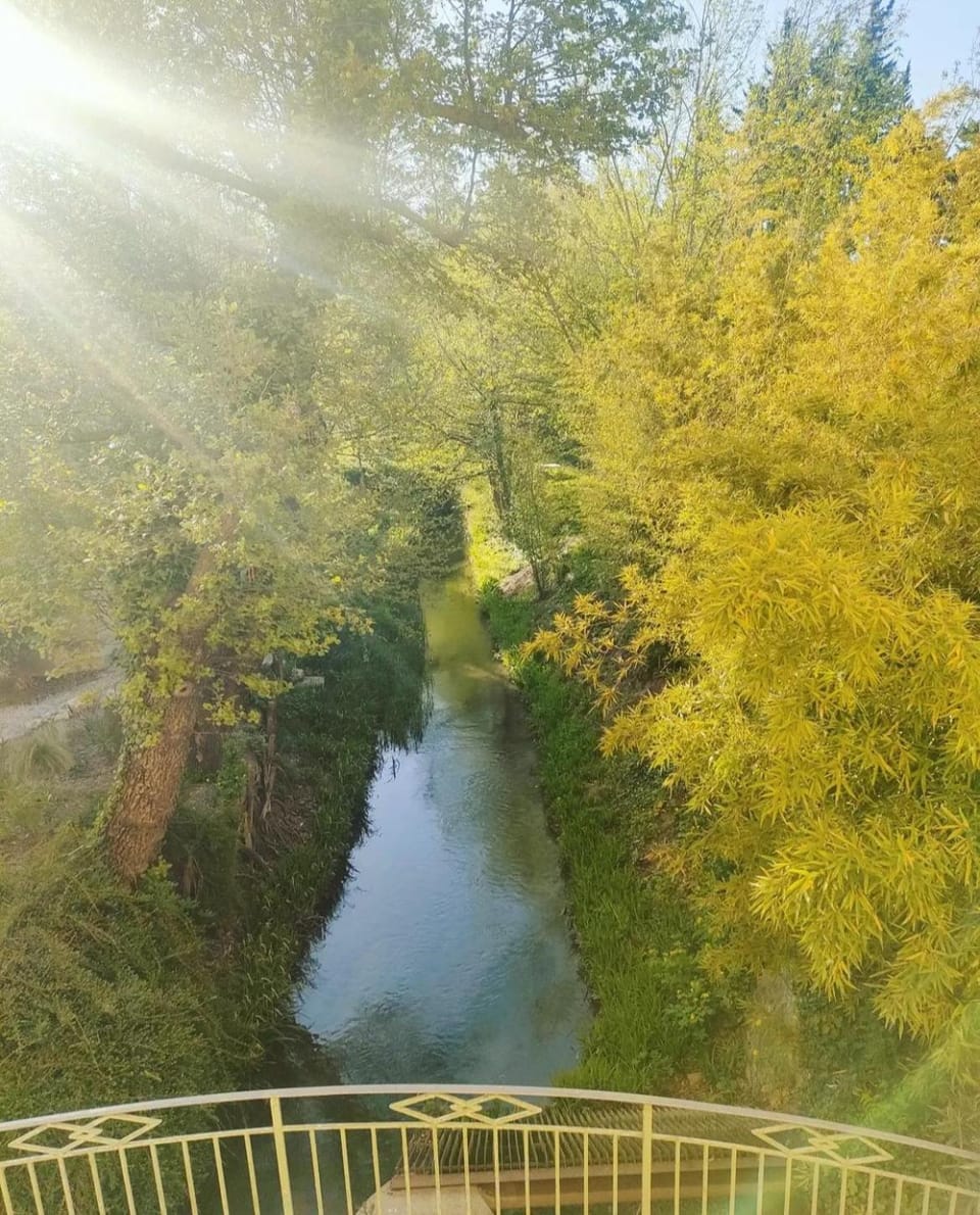 Natural landscape, River view