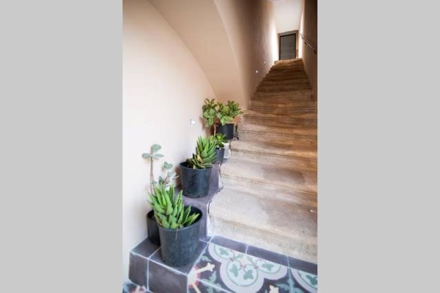 Salento. Nardò con magnifica terrazza Apartment in Nardò