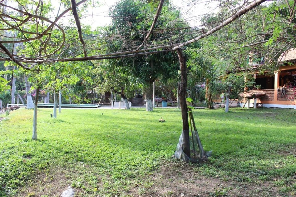 Garden view, Inner courtyard view