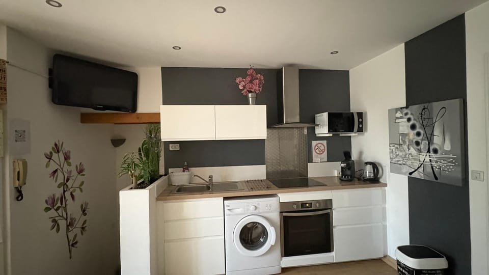 Kitchen or kitchenette, oven, stove, washing machine