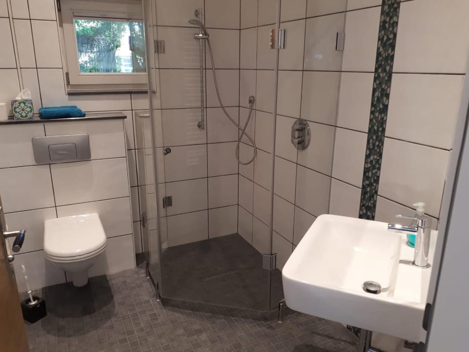 Shower, Toilet, Bathroom, towels