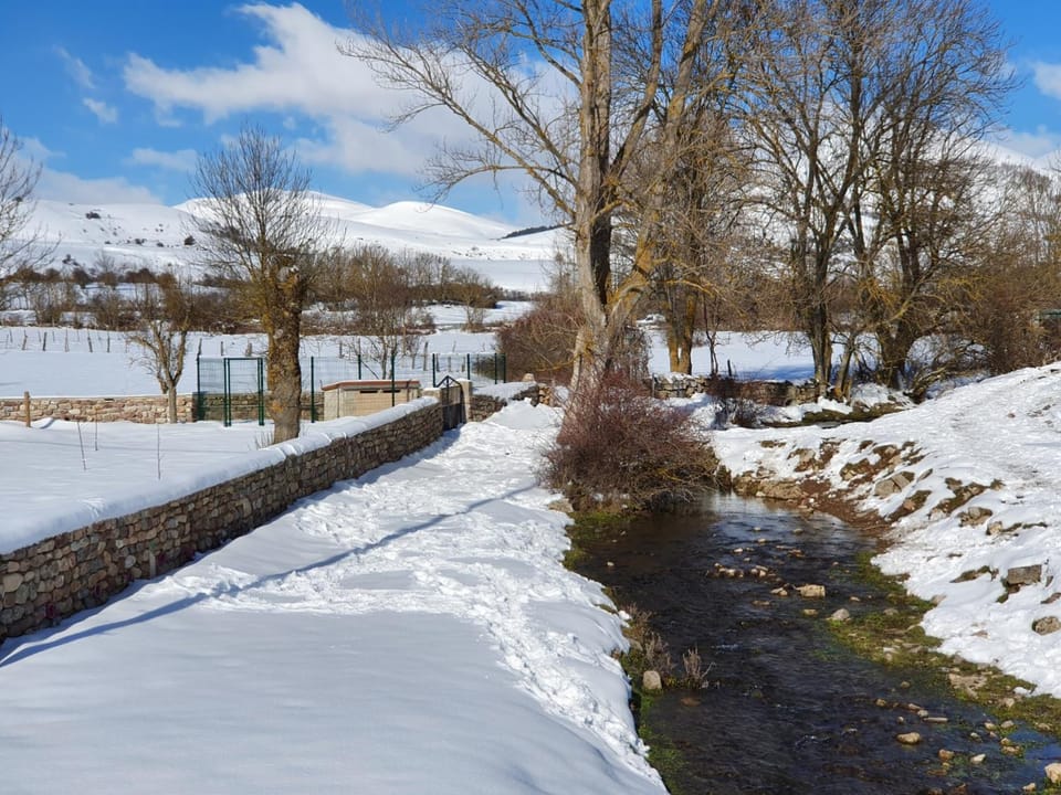 Natural landscape, Winter