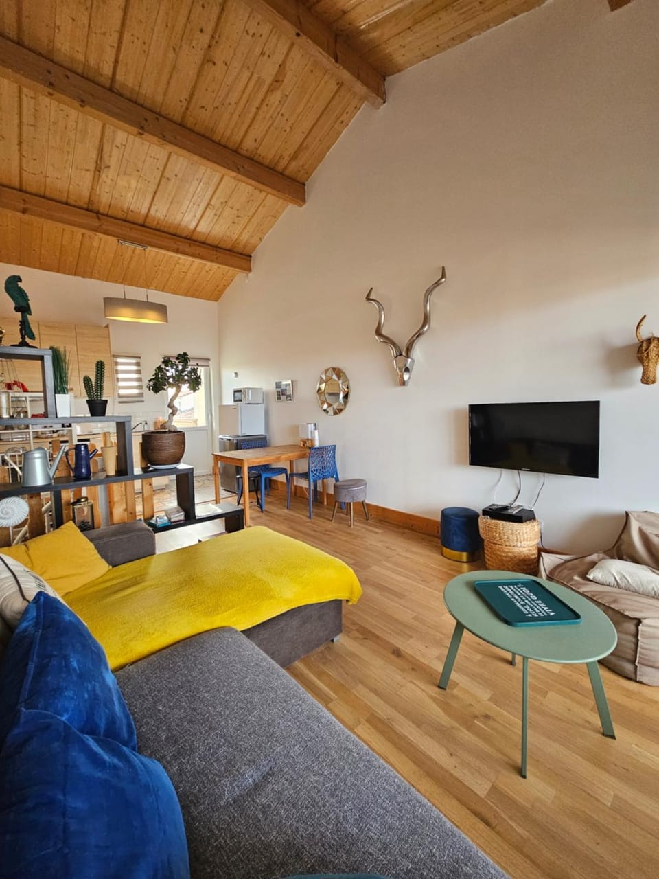 TV and multimedia, Living room