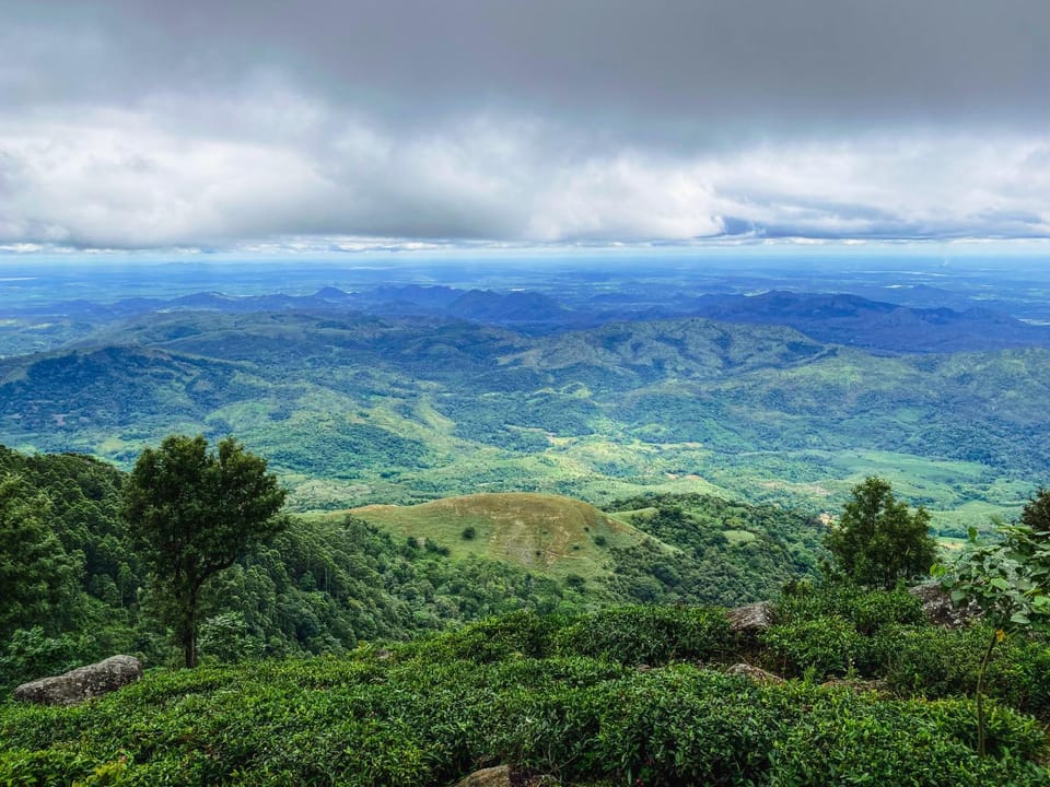Natural landscape, View (from property/room)