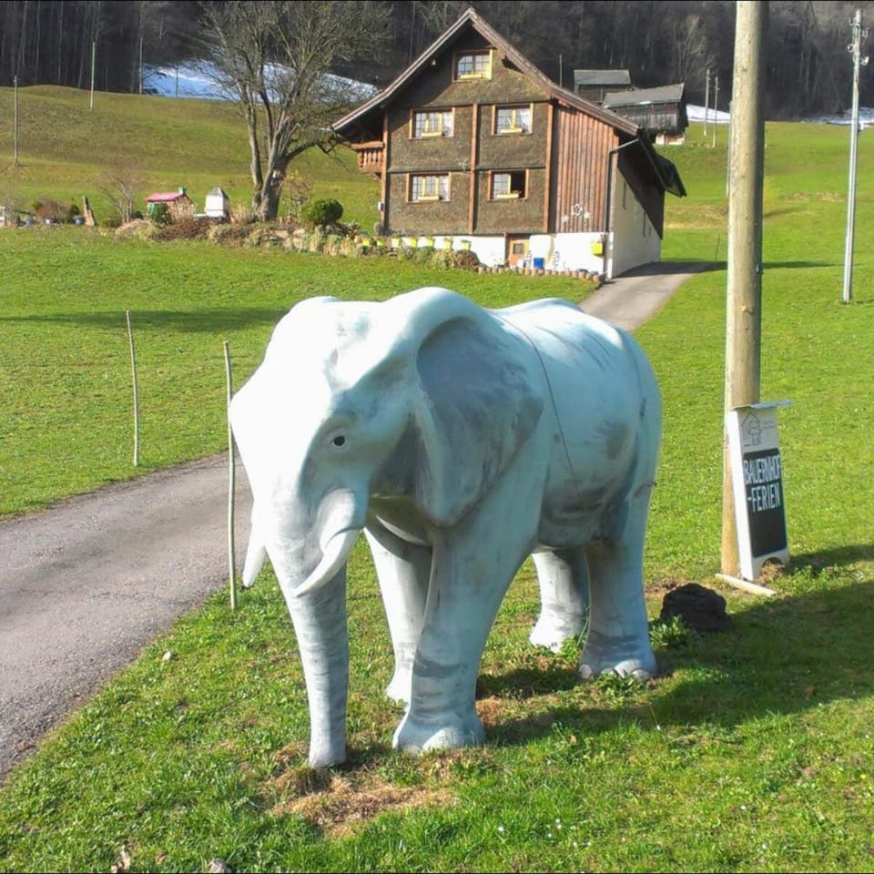 Property building, Garden, Animals, Pets, children