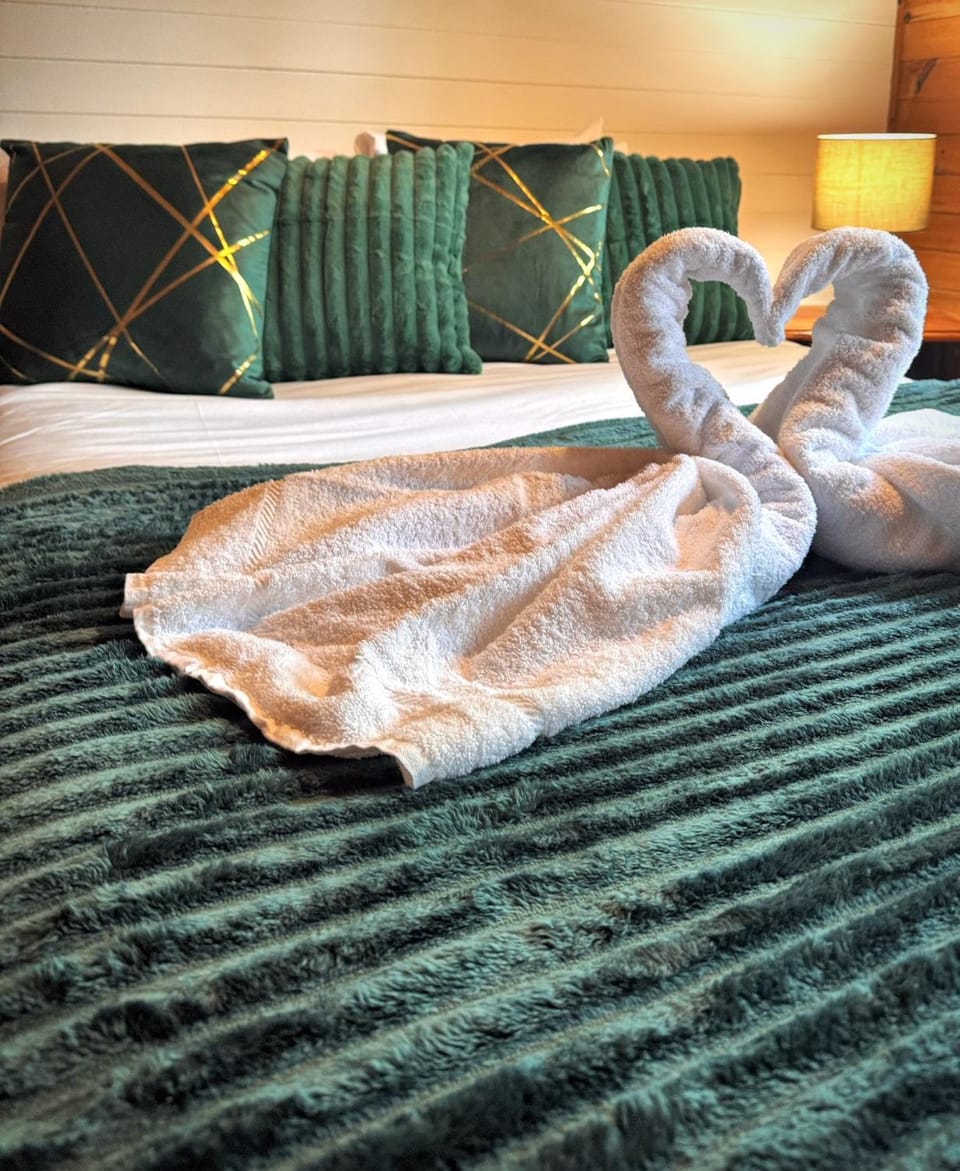 Shrew Lodge-woodland Lodges-Hot Tub-Pembrokeshire-Tenby Chalet in Wales