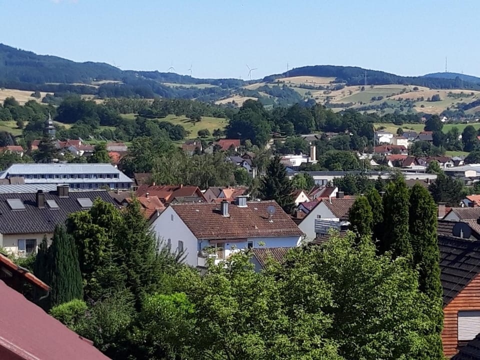 Mountain view