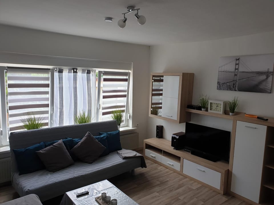 TV and multimedia, Living room, Photo of the whole room, Decorative detail