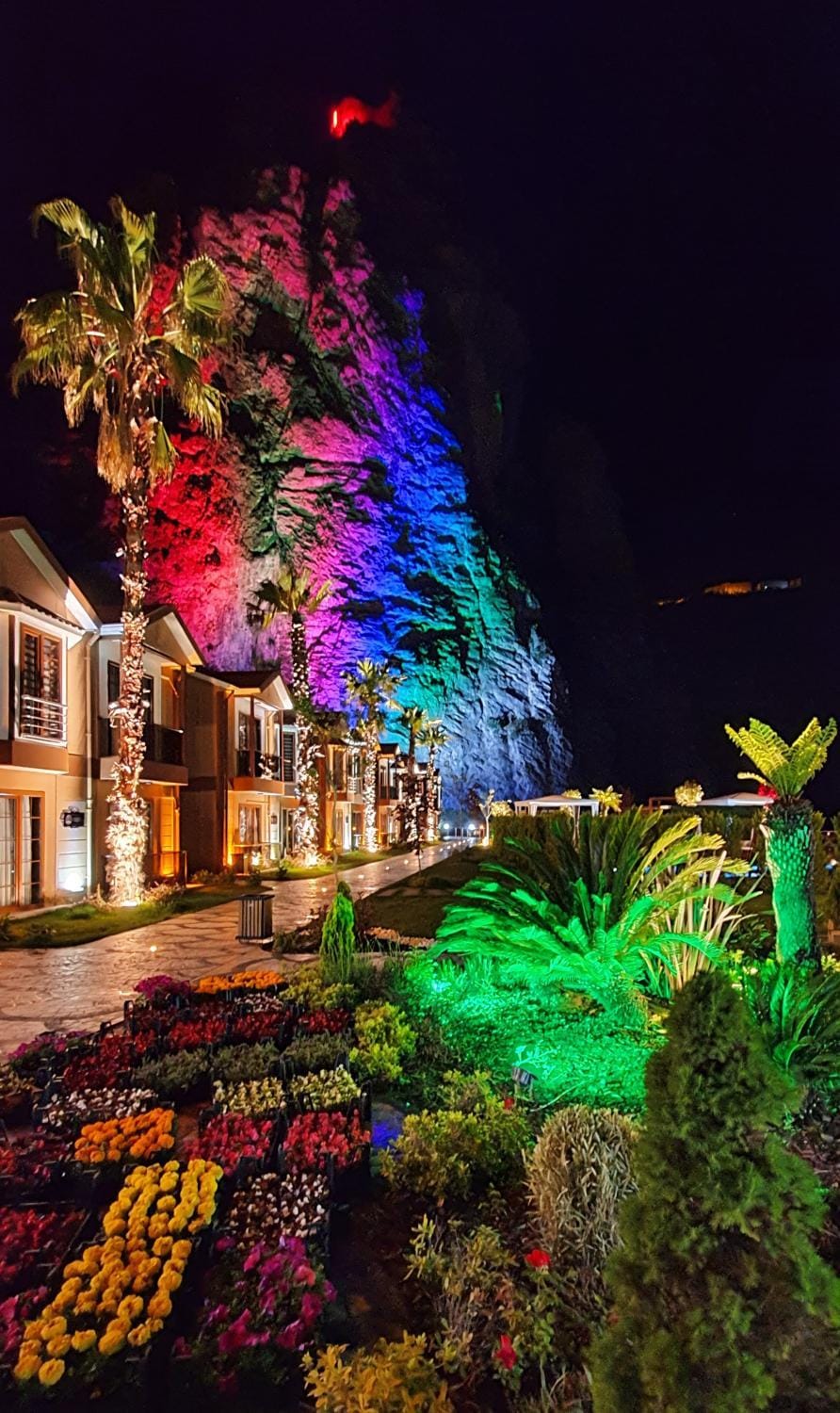 Night, Natural landscape, Garden, Garden view