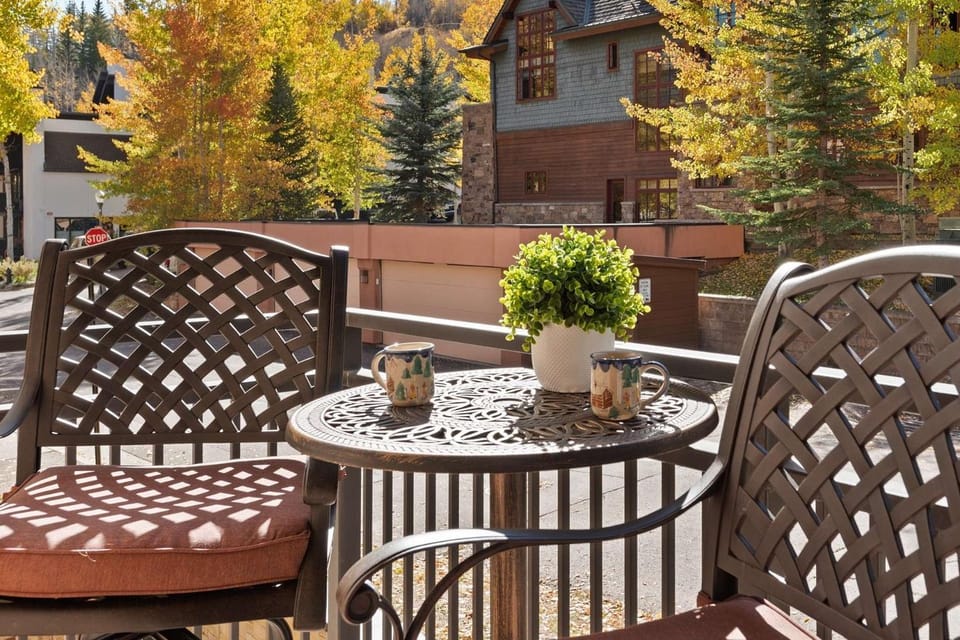 700 Monarch 201 House in Aspen