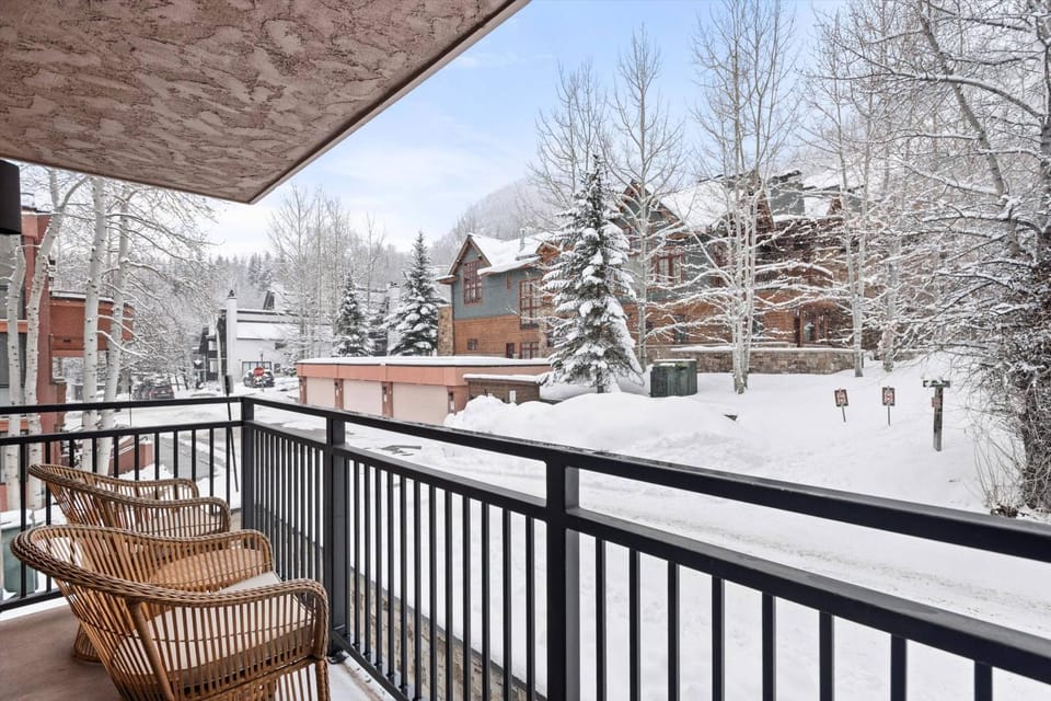 700 Monarch 201 House in Aspen