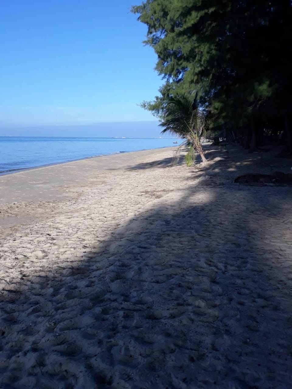 Amy's beach apartments Apartment in Chon Buri Changwat