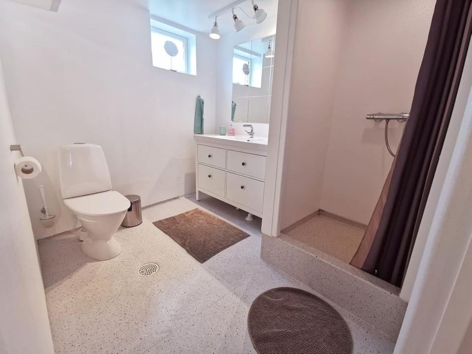 Toilet, Bathroom