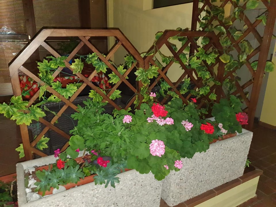 Balcony/Terrace, Balcony/Terrace