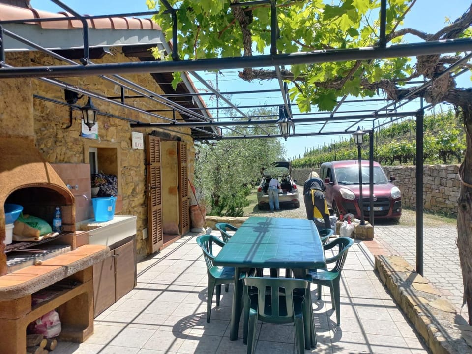 Garden, Balcony/Terrace