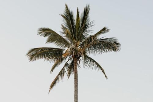 Day, Natural landscape
