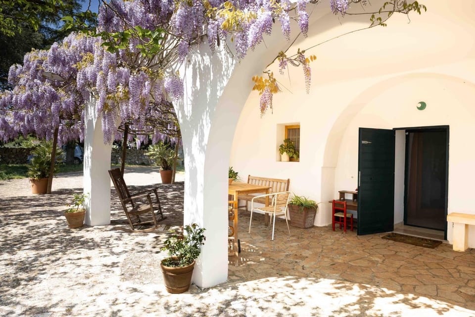 Property building, Patio, Spring, Garden, Garden view