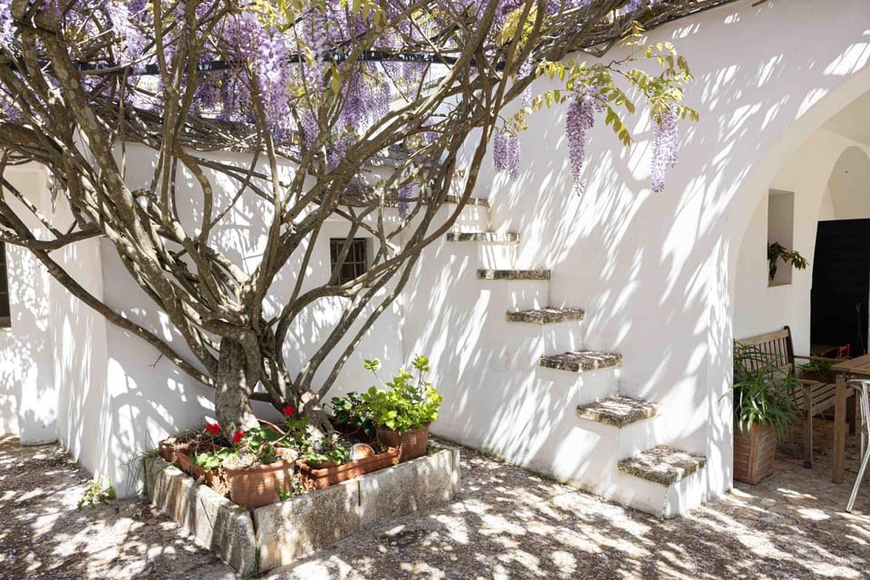 Spring, Day, Garden, Garden view