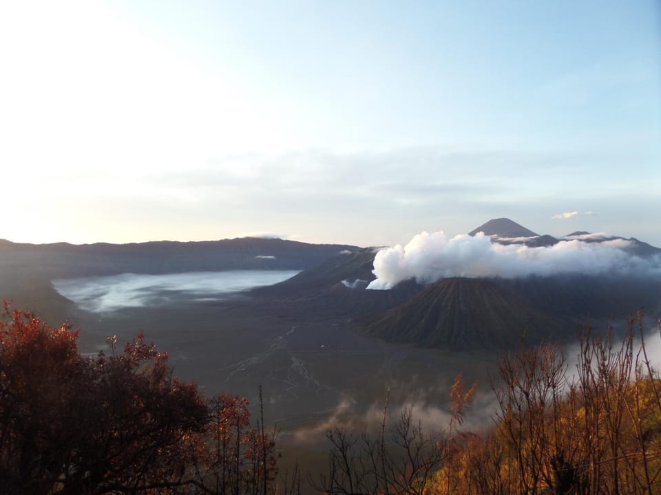 Natural landscape