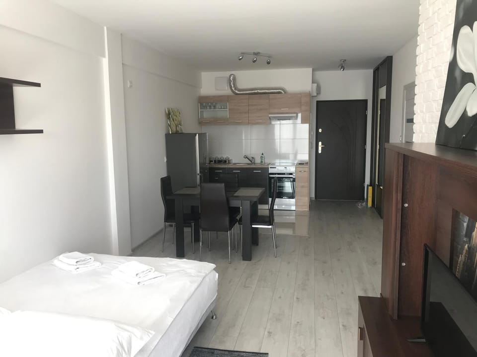 Apartament Pogodny Apartment in Poland