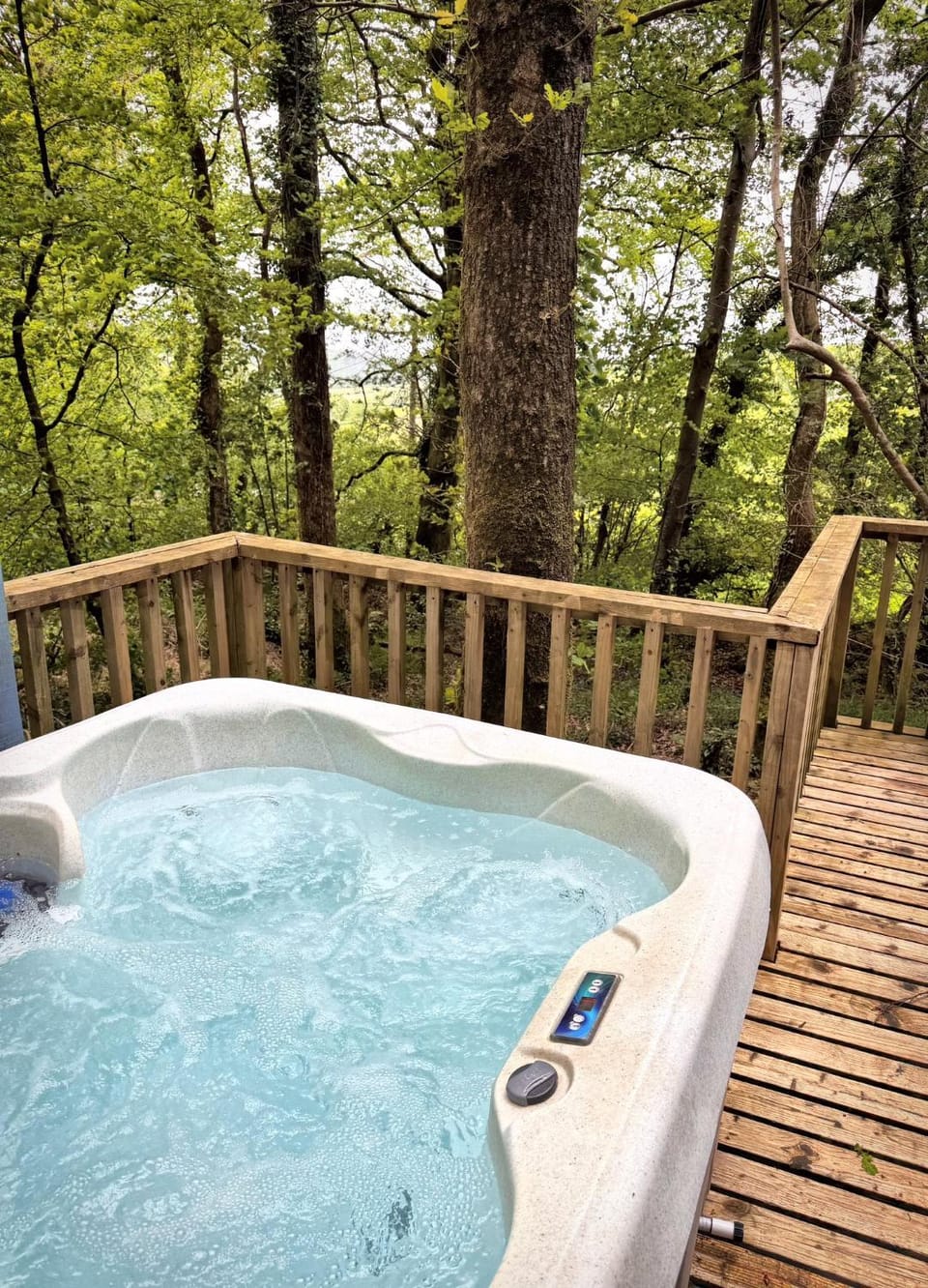 Tiny House-Hot Tub-St Clears-Pembrokeshire-Tenby Chalet in Wales