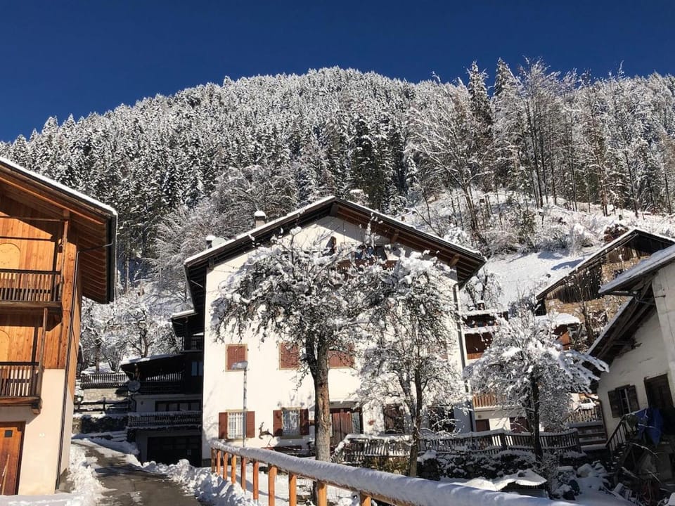 Property building, Natural landscape, Winter