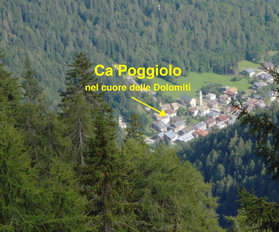 Neighbourhood
