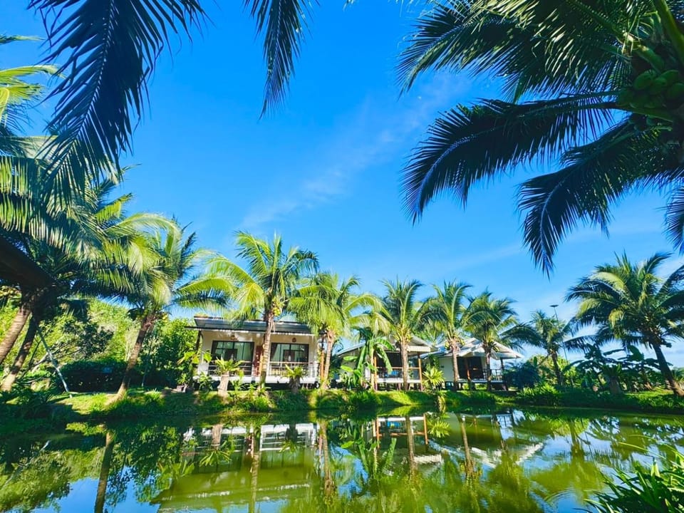 Day, Natural landscape, Garden view