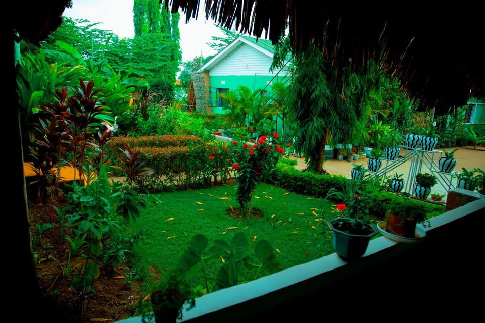 Garden view