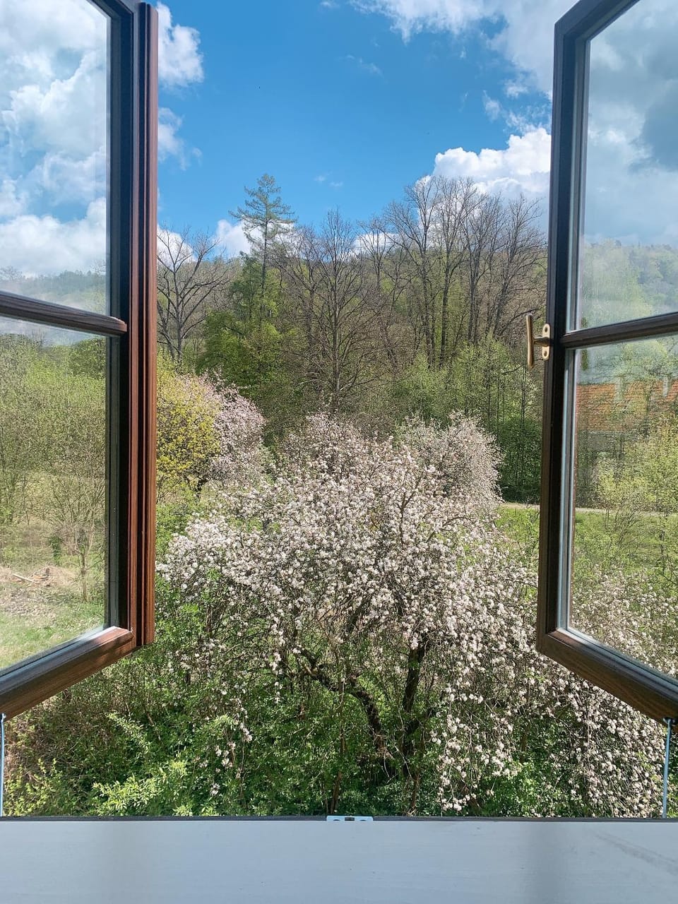 View (from property/room)