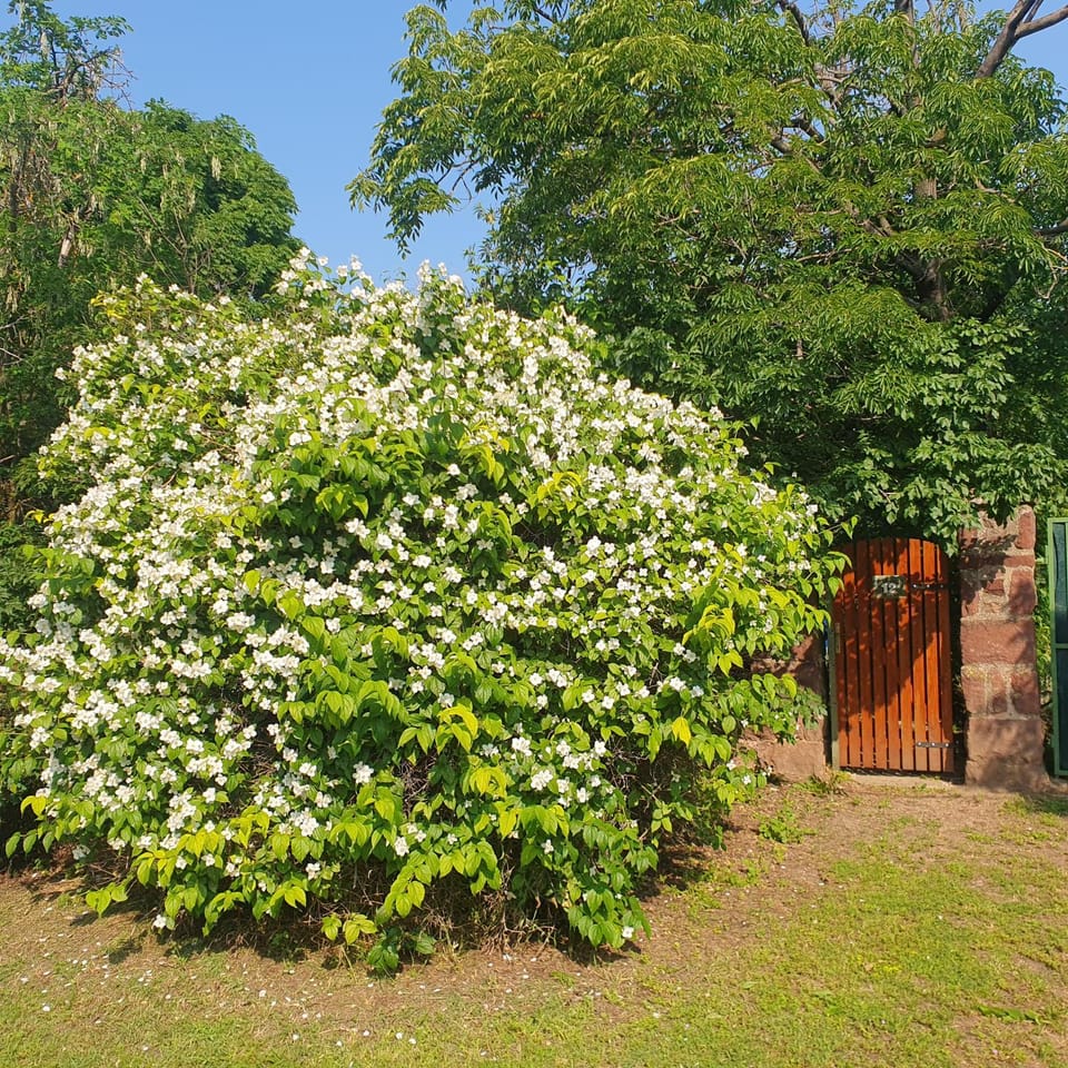 Budatava nyaraló House in Hungary
