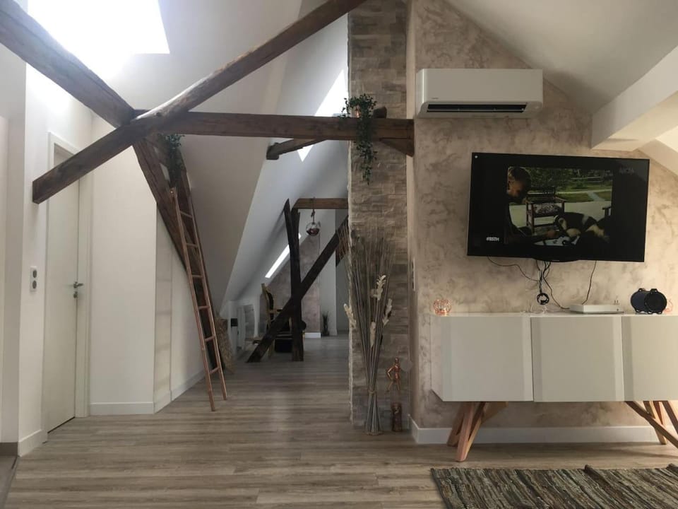 Belles combles alsaciennes au centre de Strasbourg Apartment in Strasbourg