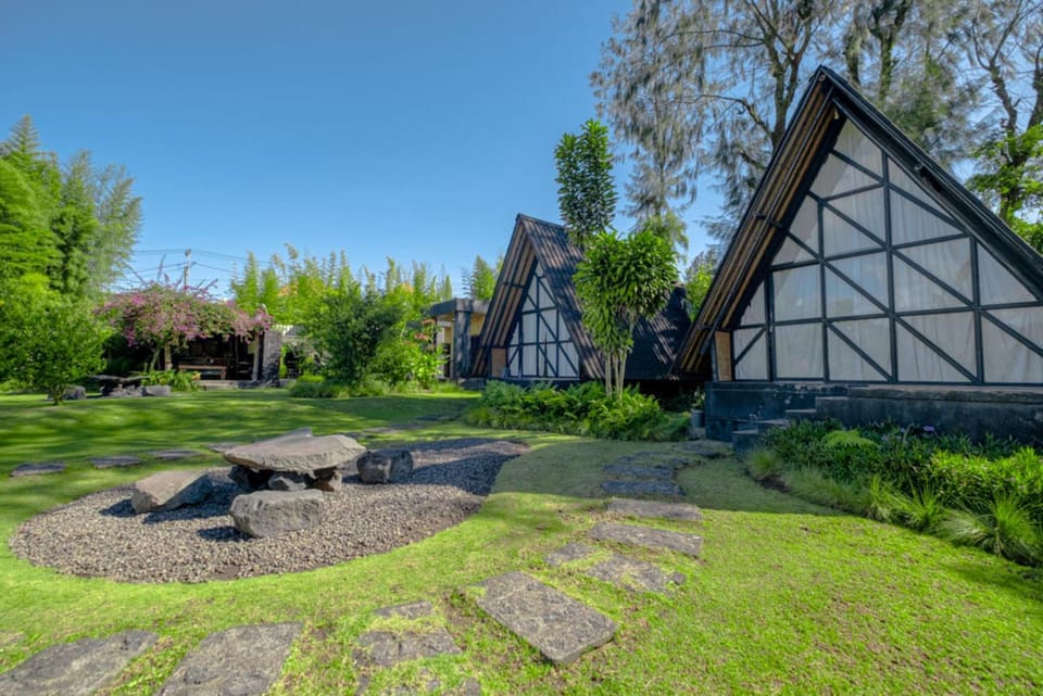 Property building, Garden, Garden view