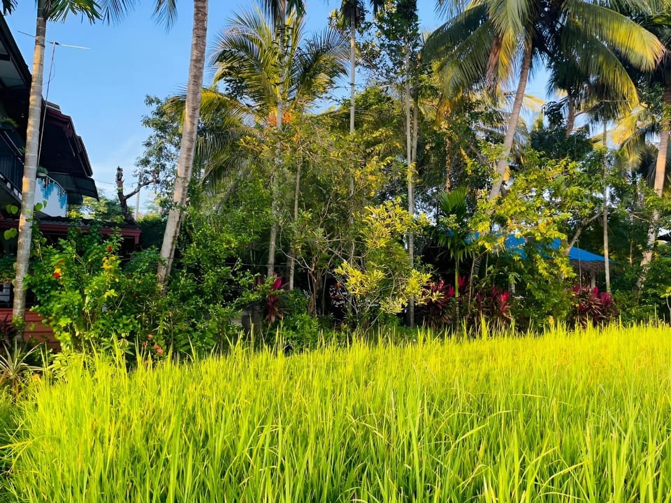 Garden view