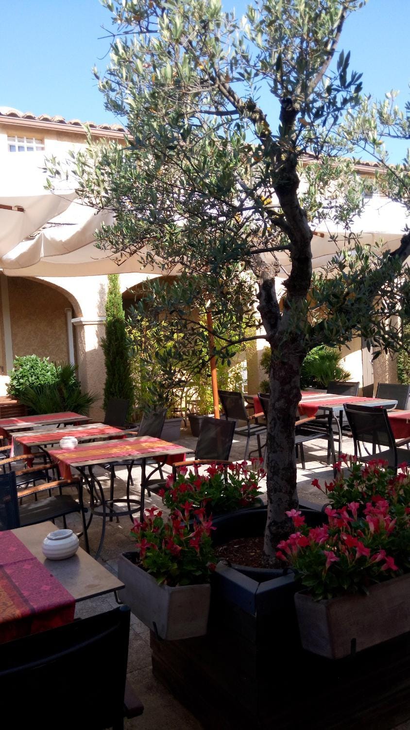 Patio, Breakfast, Breakfast