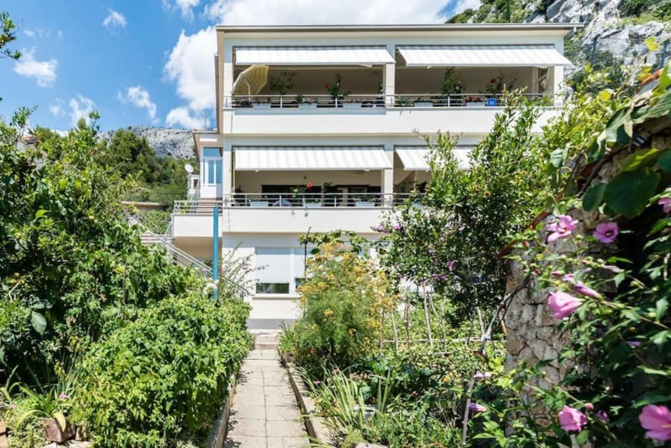 Property building, Garden