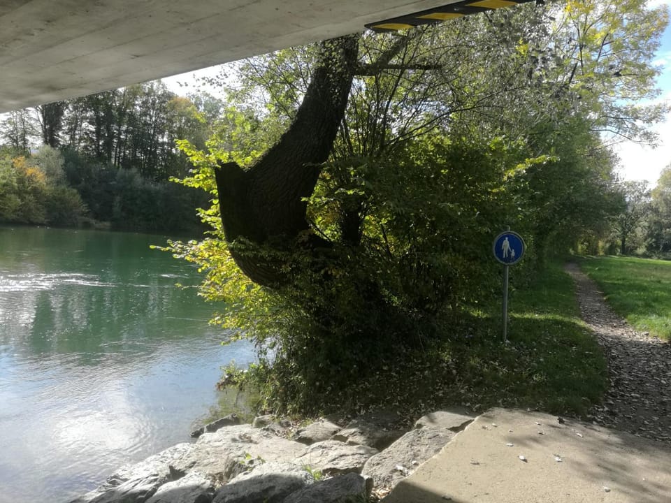 Natural landscape, River view