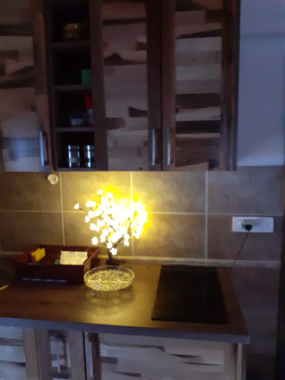 Vila PARADIZO-ZLATAR, studio apartman 1 Bed and Breakfast in Zlatibor District, Serbia