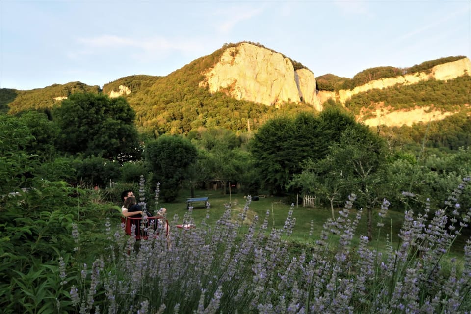 View (from property/room), Garden view, Landmark view