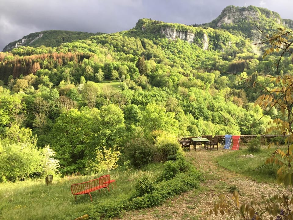 Garden view