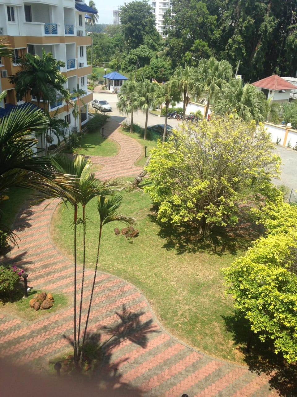 Garden view