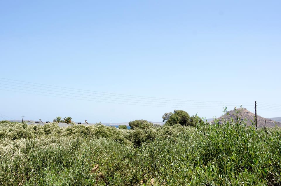 Natural landscape