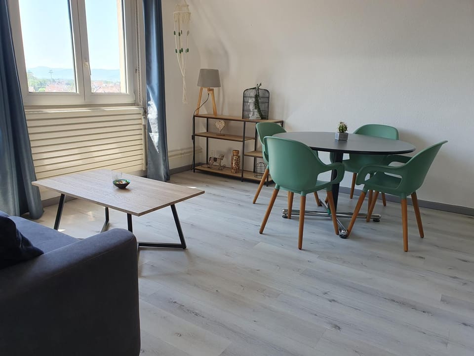 GRENIER DES CIGOGNES Apartment in Sélestat