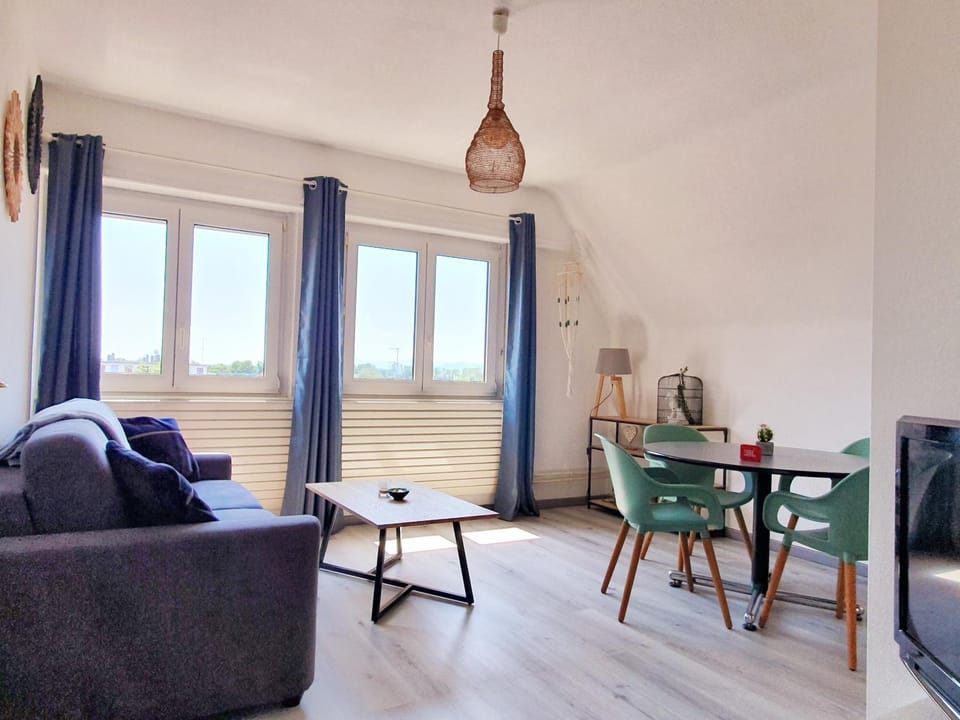 GRENIER DES CIGOGNES Apartment in Sélestat