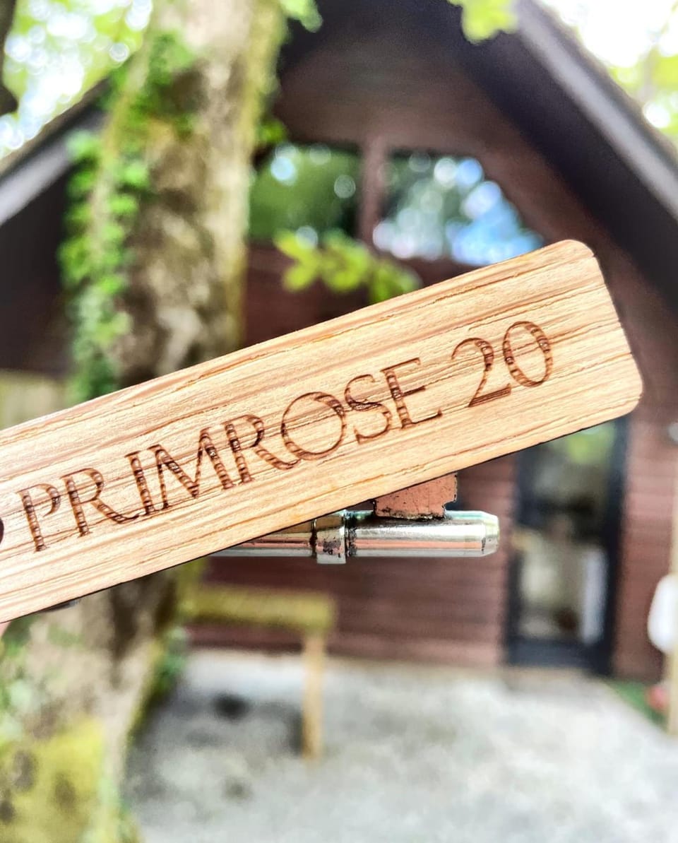 Primrose 20-Woodland Lodges-Carmarthen-Pembroke Chalet in Wales
